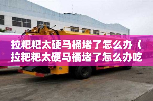 拉粑粑太硬馬桶堵了怎么辦（拉粑粑太硬馬桶堵了怎么辦吃什么藥）
