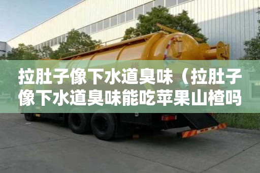 拉肚子像下水道臭味（拉肚子像下水道臭味能吃蘋果山楂嗎）