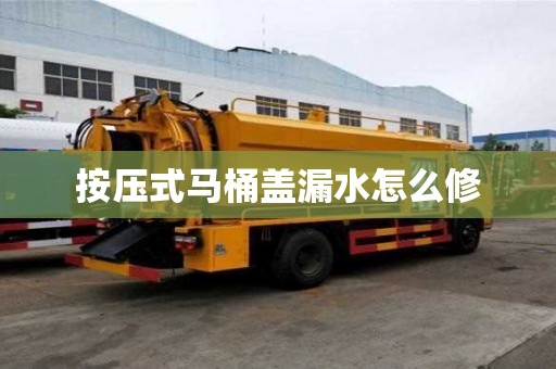 按壓式馬桶蓋漏水怎么修