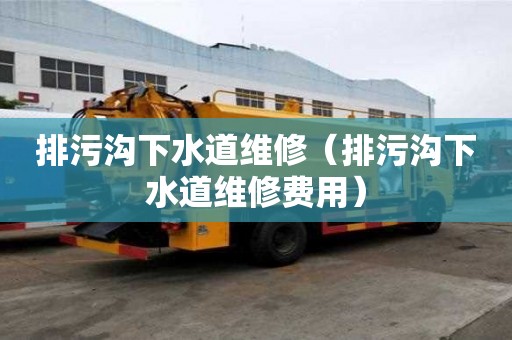 排污溝下水道維修（排污溝下水道維修費用）