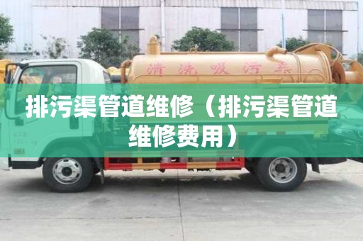 排污渠管道維修（排污渠管道維修費用）