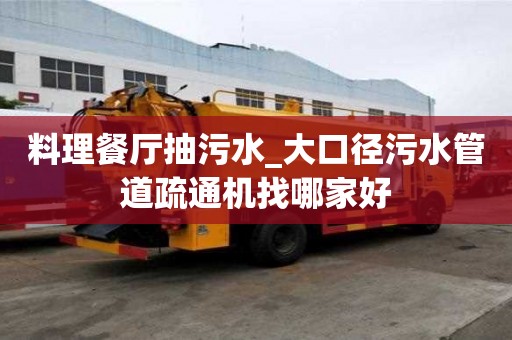 料理餐廳抽污水_大口徑污水管道疏通機找哪家好