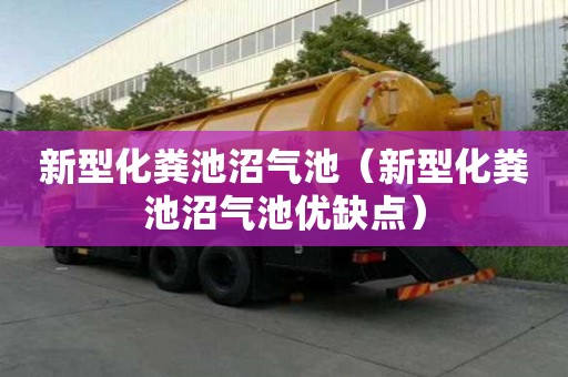 新型化糞池沼氣池（新型化糞池沼氣池優缺點）