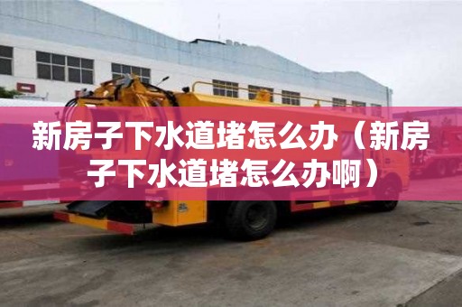 新房子下水道堵怎么辦(新房子下水道堵怎么辦啊) 新房子下水道堵怎么辦(新房子下水道堵怎么辦啊)