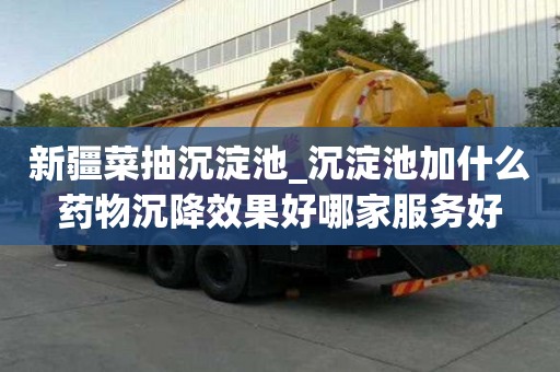 新疆菜抽沉淀池_沉淀池加什么藥物沉降效果好哪家服務好