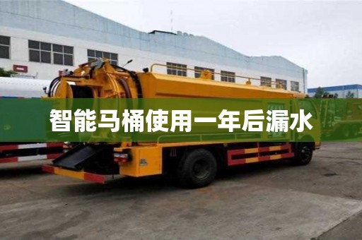 智能馬桶使用一年后漏水
