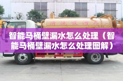 智能馬桶壁漏水怎么處理（智能馬桶壁漏水怎么處理圖解）