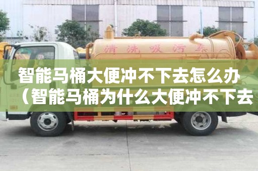 智能馬桶大便沖不下去怎么辦（智能馬桶為什么大便沖不下去）