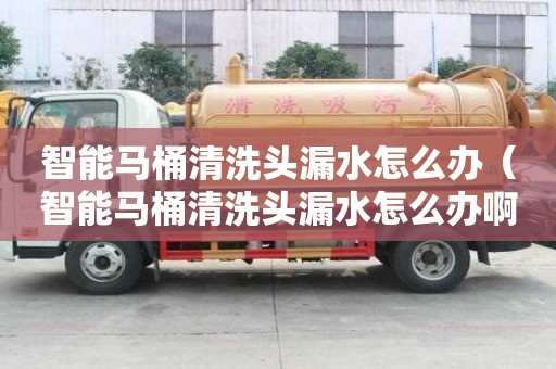 智能馬桶清洗頭漏水怎么辦（智能馬桶清洗頭漏水怎么辦啊）