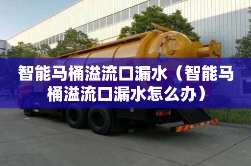 智能馬桶溢流口漏水（智能馬桶溢流口漏水怎么辦）