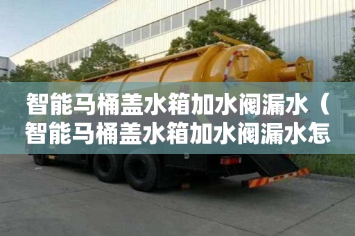 智能馬桶蓋水箱加水閥漏水（智能馬桶蓋水箱加水閥漏水怎么辦）