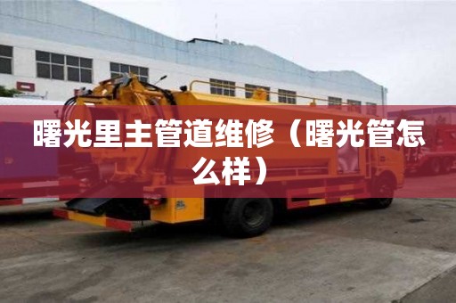 曙光里主管道維修（曙光管怎么樣）