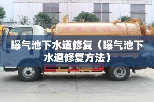 曝氣池下水道修復（曝氣池下水道修復方法）