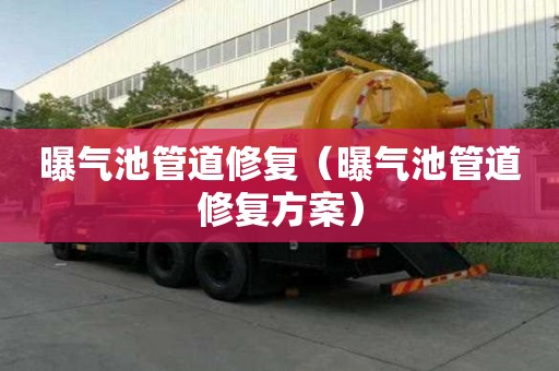 曝氣池管道修復（曝氣池管道修復方案）