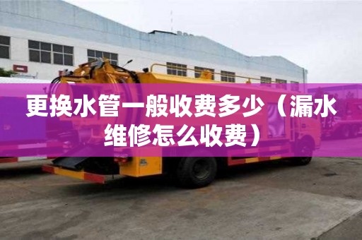 更換水管一般收費(fèi)多少（漏水維修怎么收費(fèi)）