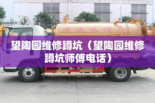 望陶園維修蹲坑（望陶園維修蹲坑師傅電話）