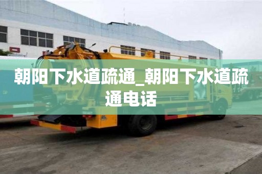 朝陽(yáng)下水道疏通_朝陽(yáng)下水道疏通電話