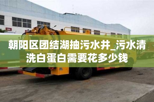 朝陽區(qū)團(tuán)結(jié)湖抽污水井_污水清洗白蛋白需要花多少錢