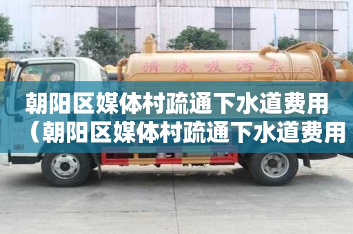 朝陽(yáng)區(qū)媒體村疏通下水道費(fèi)用（朝陽(yáng)區(qū)媒體村疏通下水道費(fèi)用多少錢）