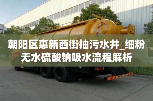 朝陽區惠新西街抽污水井_細粉無水硫酸鈉吸水流程解析