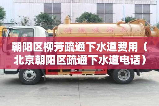 朝陽區柳芳疏通下水道費用（北京朝陽區疏通下水道電話）