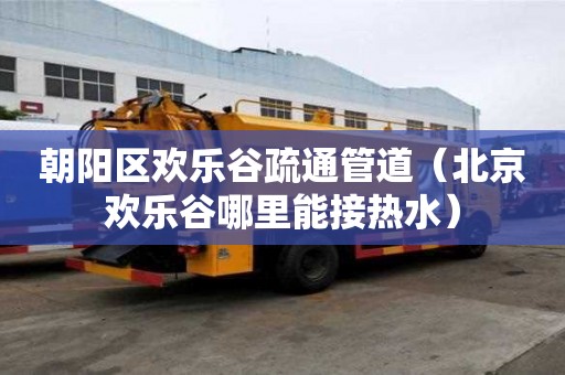朝陽區(qū)歡樂谷疏通管道（北京歡樂谷哪里能接熱水）