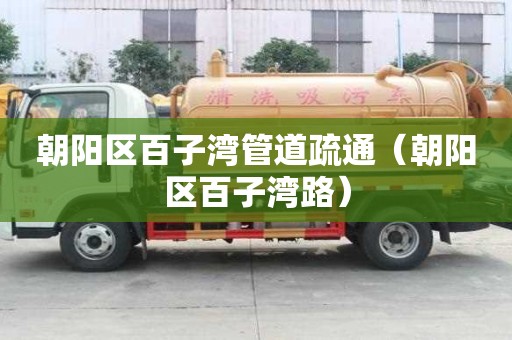 朝陽區(qū)百子灣管道疏通（朝陽區(qū)百子灣路）