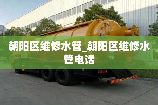 朝陽區維修水管_朝陽區維修水管電話