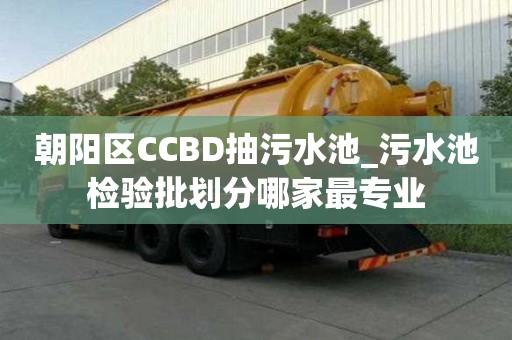 朝陽區(qū)CCBD抽污水池_污水池檢驗(yàn)批劃分哪家最專業(yè)