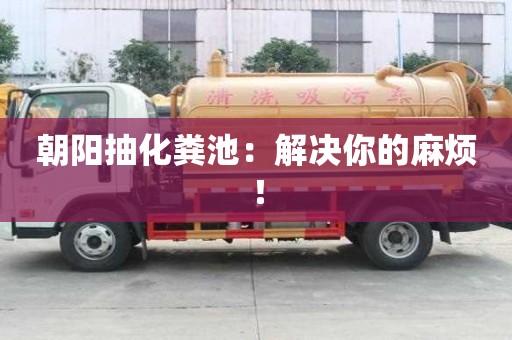 朝陽抽化糞池:解決你的麻煩! 朝陽抽化糞池:解決你的麻煩!