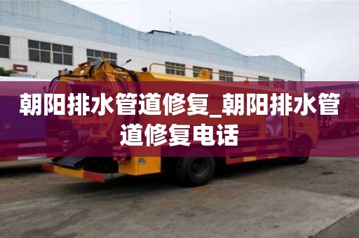 朝陽排水管道修復(fù)_朝陽排水管道修復(fù)電話