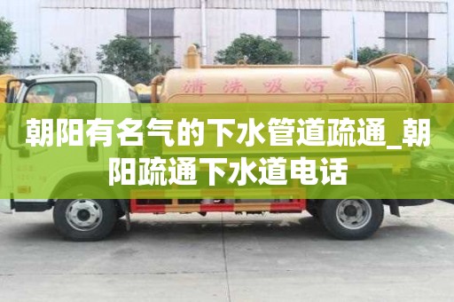 朝陽有名氣的下水管道疏通_朝陽疏通下水道電話
