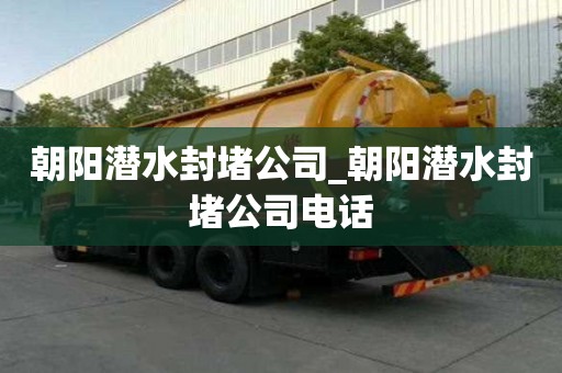 朝陽潛水封堵公司_朝陽潛水封堵公司電話