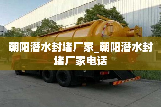 朝陽(yáng)潛水封堵廠家_朝陽(yáng)潛水封堵廠家電話