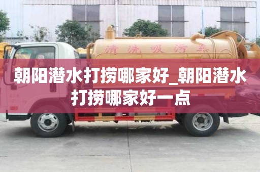 朝陽潛水打撈哪家好_朝陽潛水打撈哪家好一點