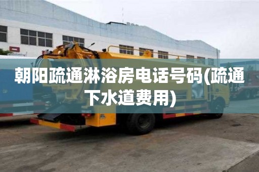 朝陽(yáng)疏通淋浴房電話號(hào)碼(疏通下水道費(fèi)用)
