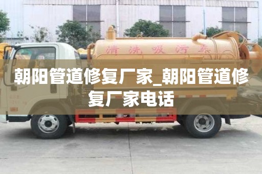 朝陽管道修復廠家_朝陽管道修復廠家電話