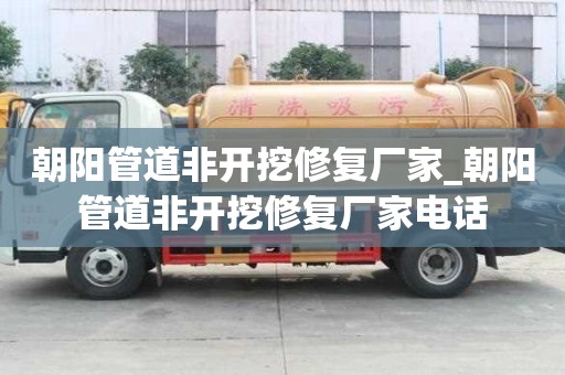 朝陽管道非開挖修復(fù)廠家_朝陽管道非開挖修復(fù)廠家電話