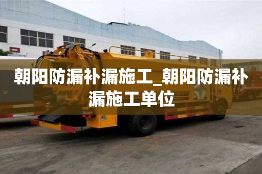 朝陽防漏補漏施工_朝陽防漏補漏施工單位