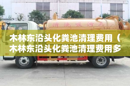 木林東沿頭化糞池清理費用（木林東沿頭化糞池清理費用多少錢）