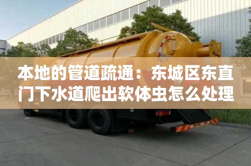 本地的管道疏通：東城區(qū)東直門下水道爬出軟體蟲怎么處理