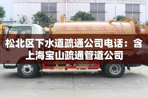 松北區(qū)下水道疏通公司電話：含上海寶山疏通管道公司