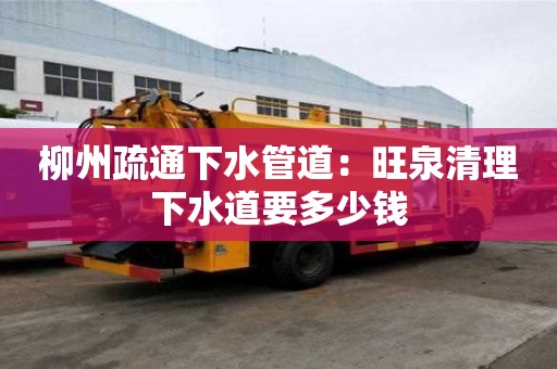 柳州疏通下水管道：旺泉清理下水道要多少錢