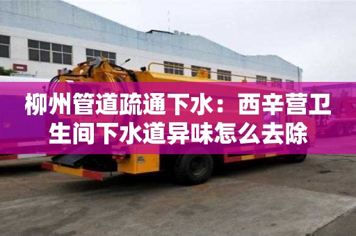 柳州管道疏通下水：西辛營衛生間下水道異味怎么去除