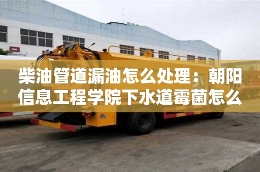 柴油管道漏油怎么處理：朝陽信息工程學院下水道霉菌怎么去除