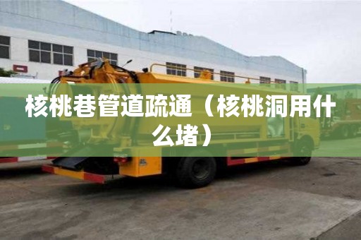 核桃巷管道疏通（核桃洞用什么堵）