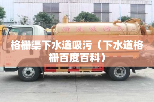 格柵渠下水道吸污（下水道格柵百度百科）