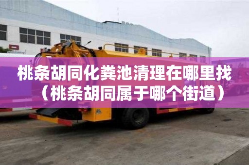 桃條胡同化糞池清理在哪里找（桃條胡同屬于哪個街道）
