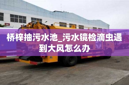 橋梓抽污水池_污水鏡檢滴蟲遇到大風怎么辦