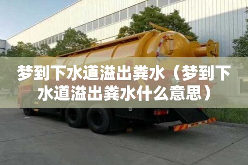 夢到下水道溢出糞水（夢到下水道溢出糞水什么意思）